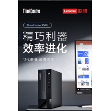 联想台式机ThinkCentre S500 台式机